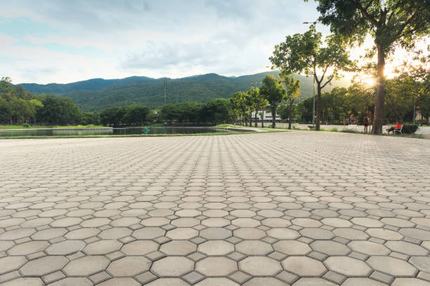 Best Residential Paver Driveway  in Madisonville, TN